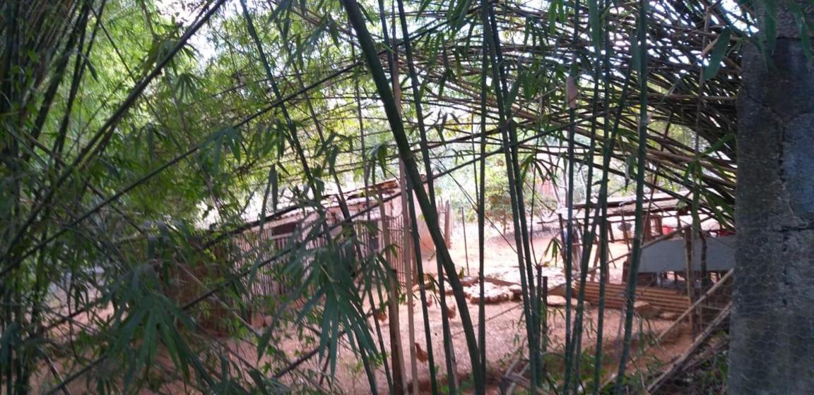 Pousada Sirius São Roque de Minas Kültér fotó